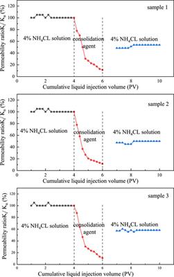 Consolidation-acidizing experiments on methane natural gas sediment skeleton